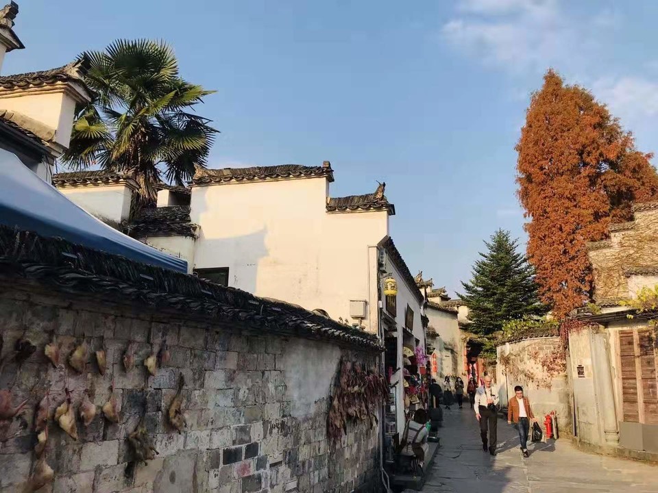 微信图片_201911181258563