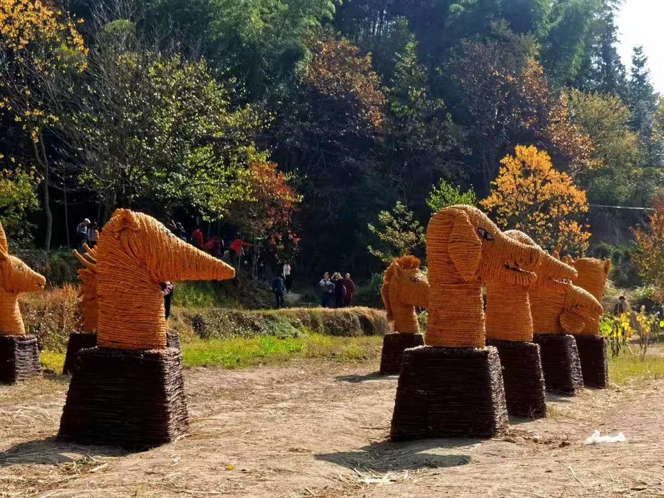 微信图片_201911181258568