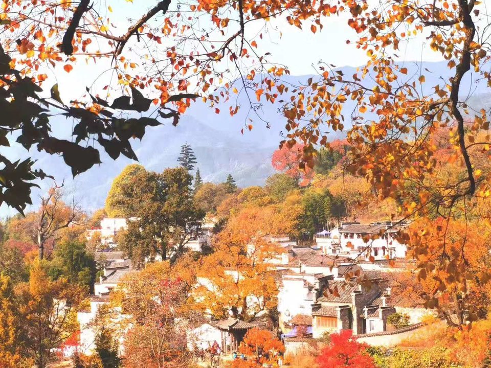 微信图片_201911181300053