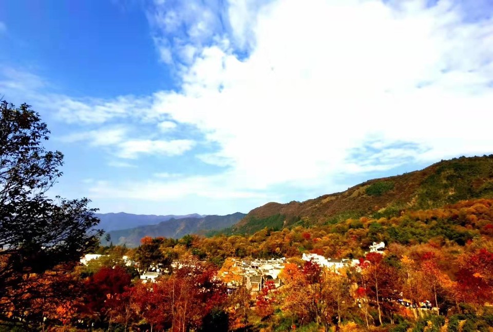 微信图片_201911181300054