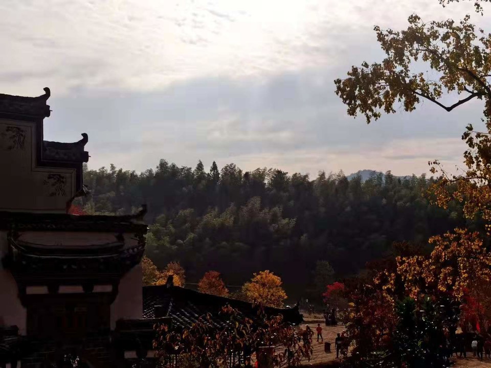 微信图片_201911181300055