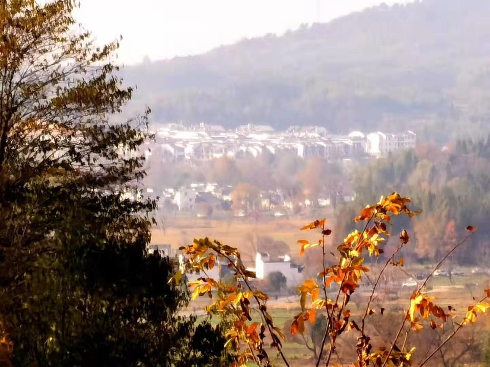 微信图片_201911181300056