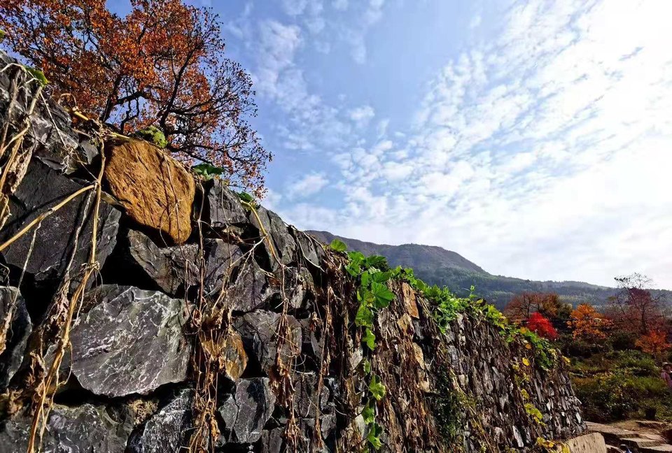 微信图片_201911181300057