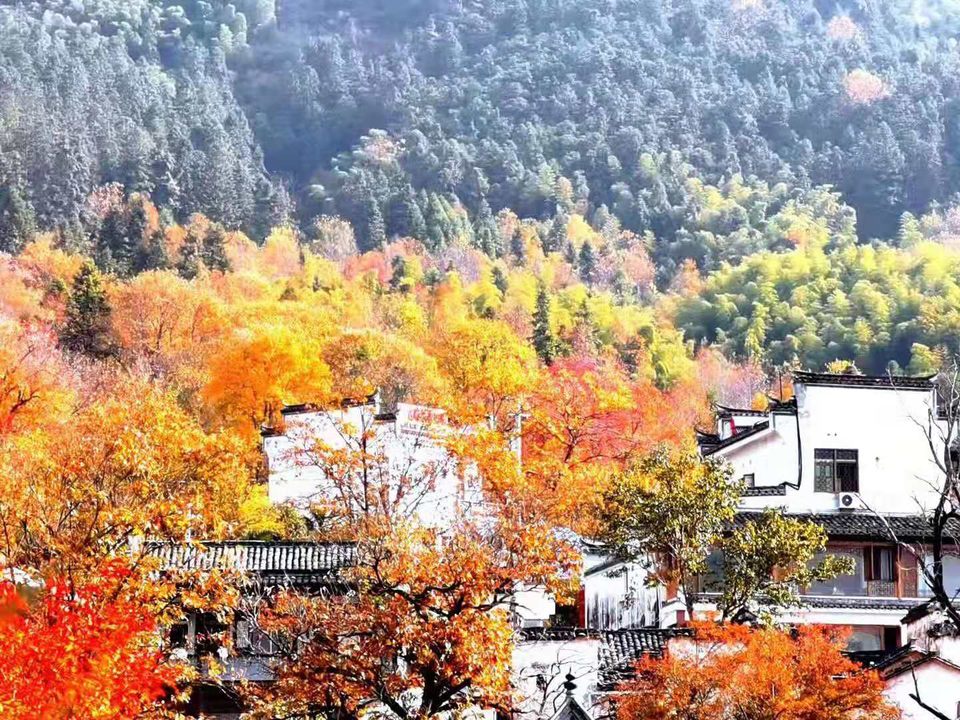 微信图片_201911181301211