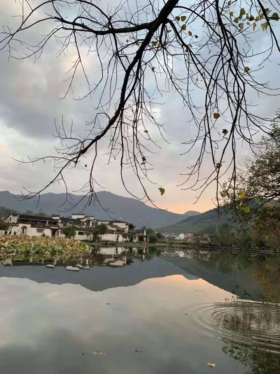 微信图片_201911181301217