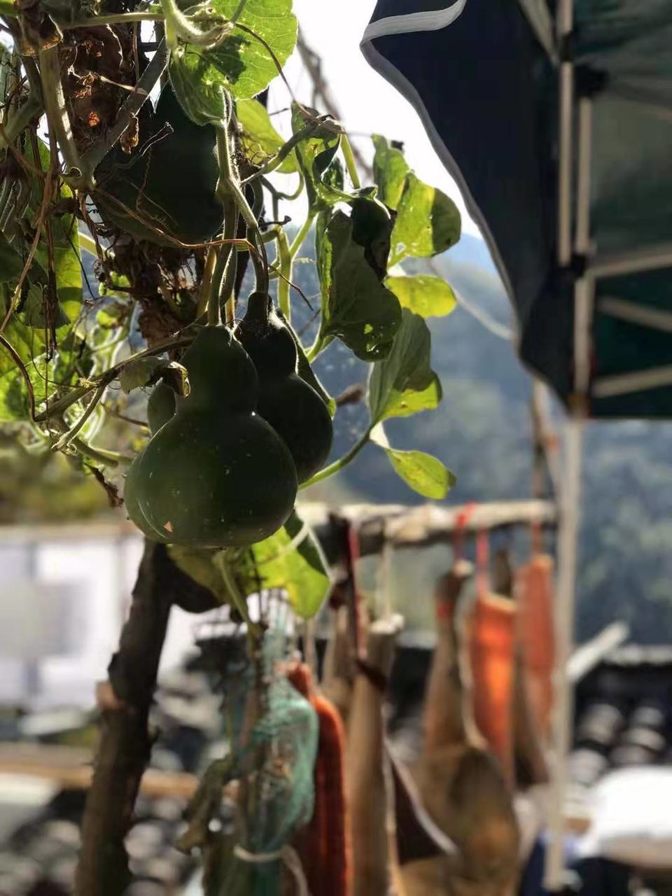 微信图片_201911181302273