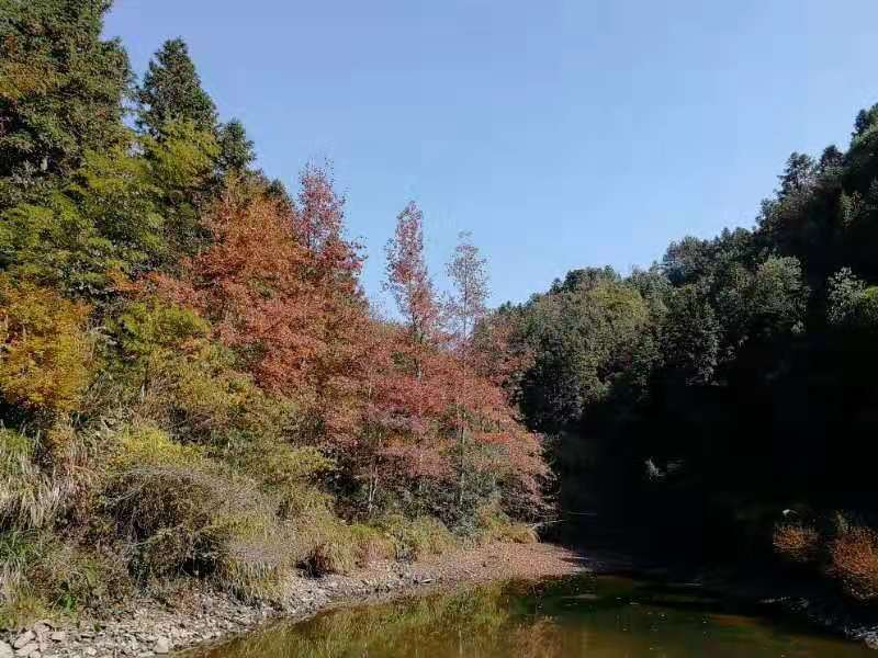 微信图片_201911181302274