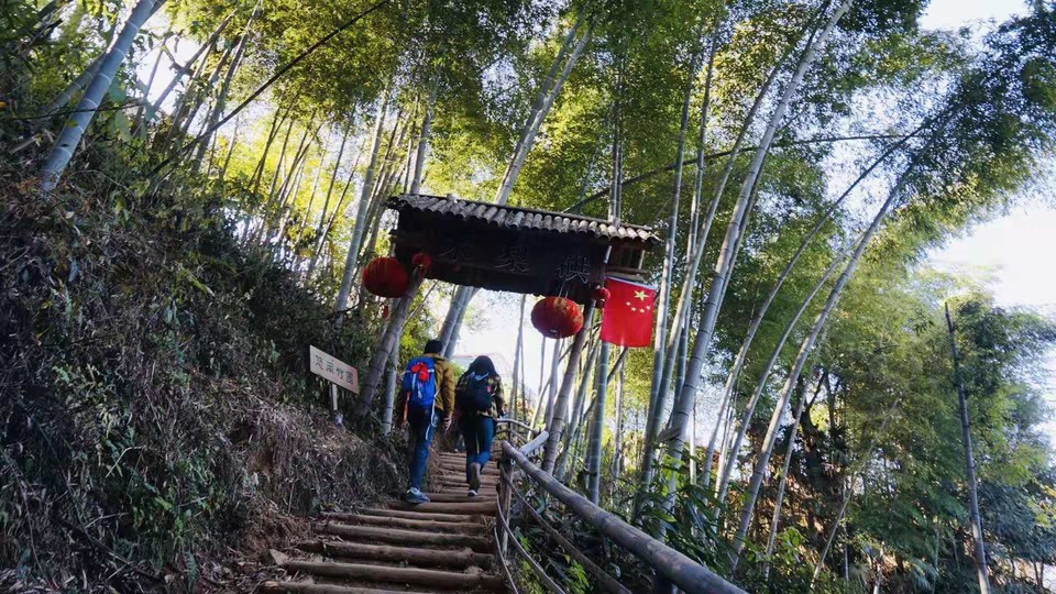 微信图片_201911181302275