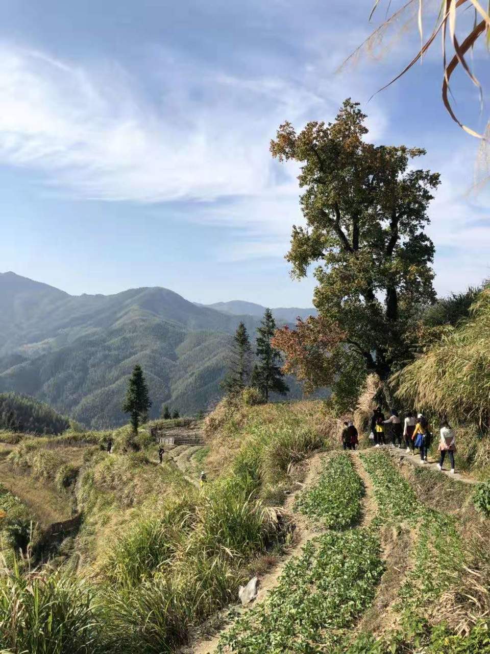 微信图片_201911181302276