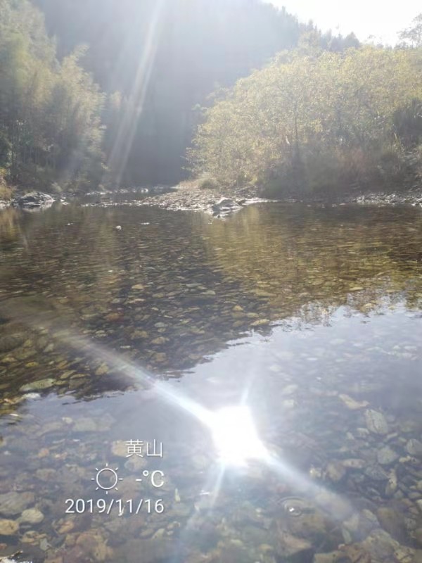 微信图片_201911181302277