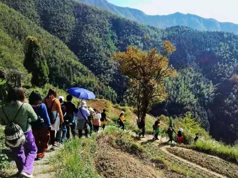 微信图片_201911181303192