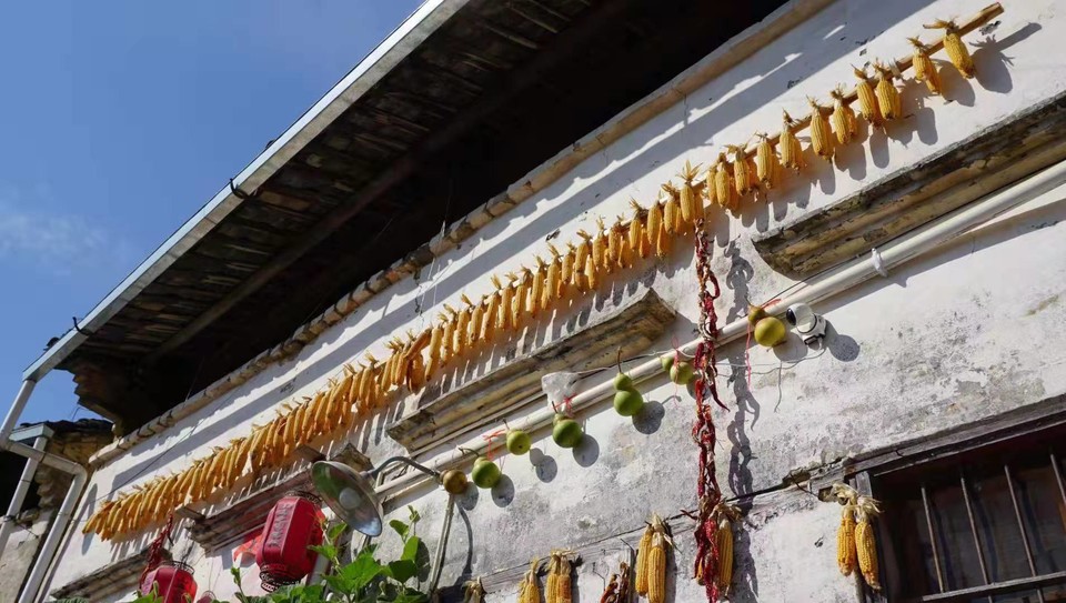 微信图片_201911181303193