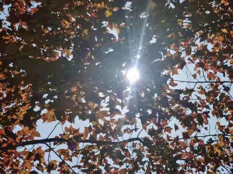 微信图片_201911181303197