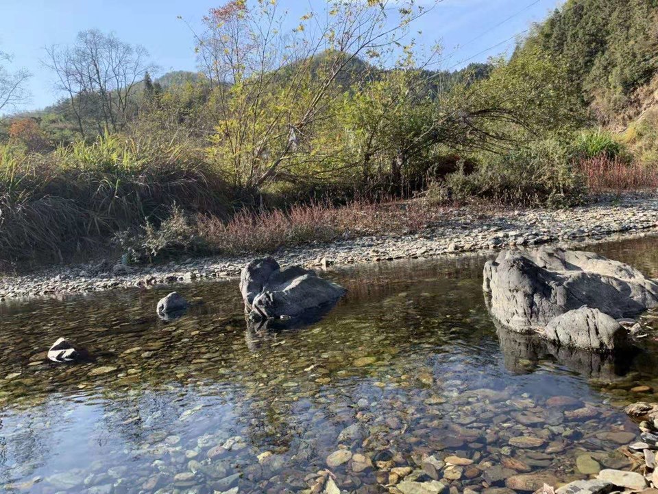 微信图片_201911181304512