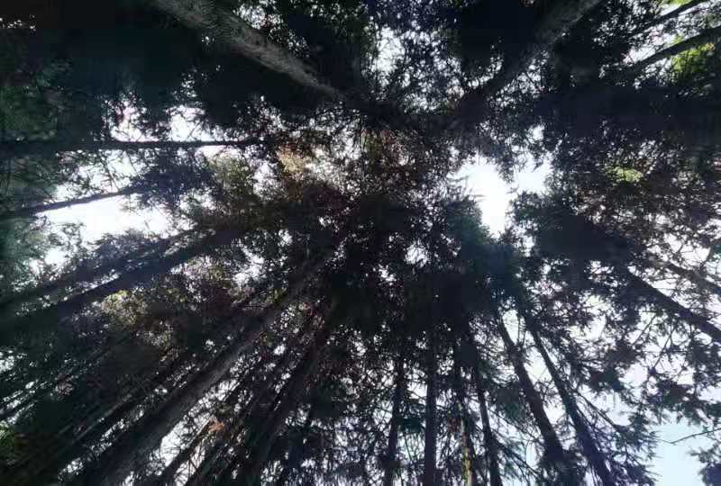 微信图片_201911181304513