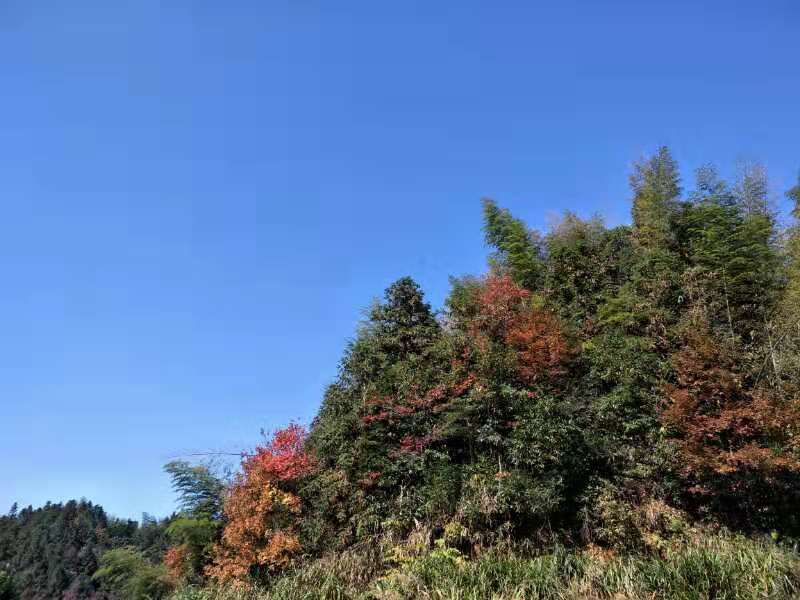 微信图片_201911181306162