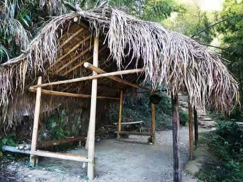 微信图片_201911181306164