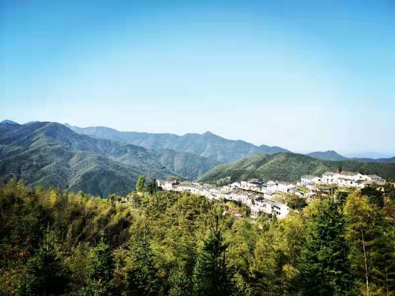 微信图片_201911181306167