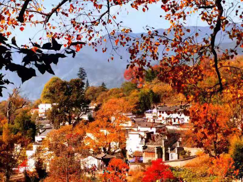 微信图片_201911181306524