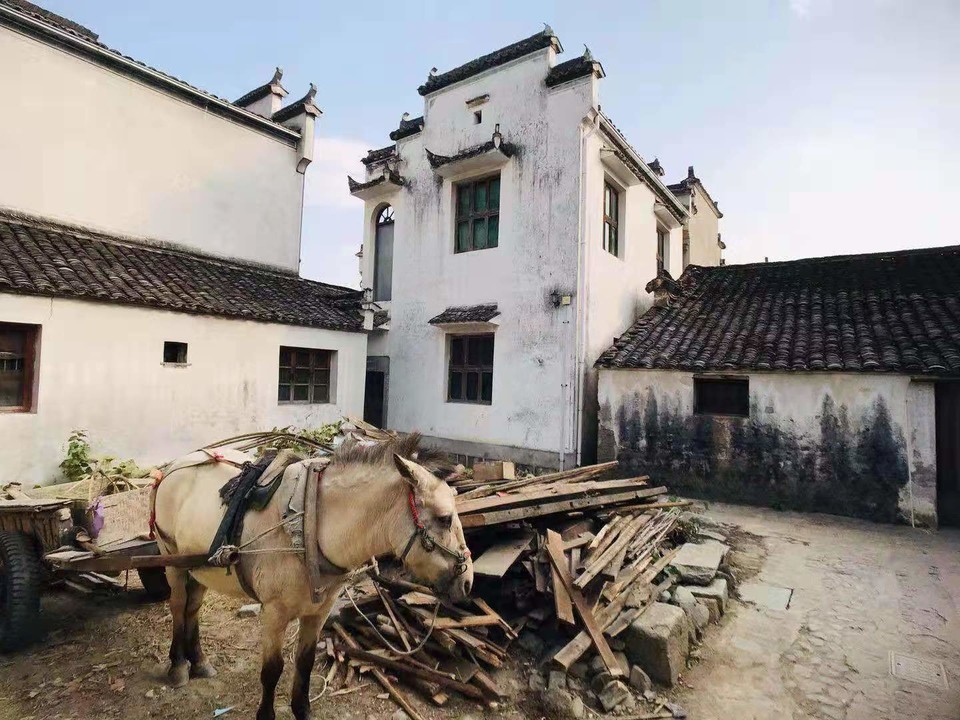 微信图片_201911181306526