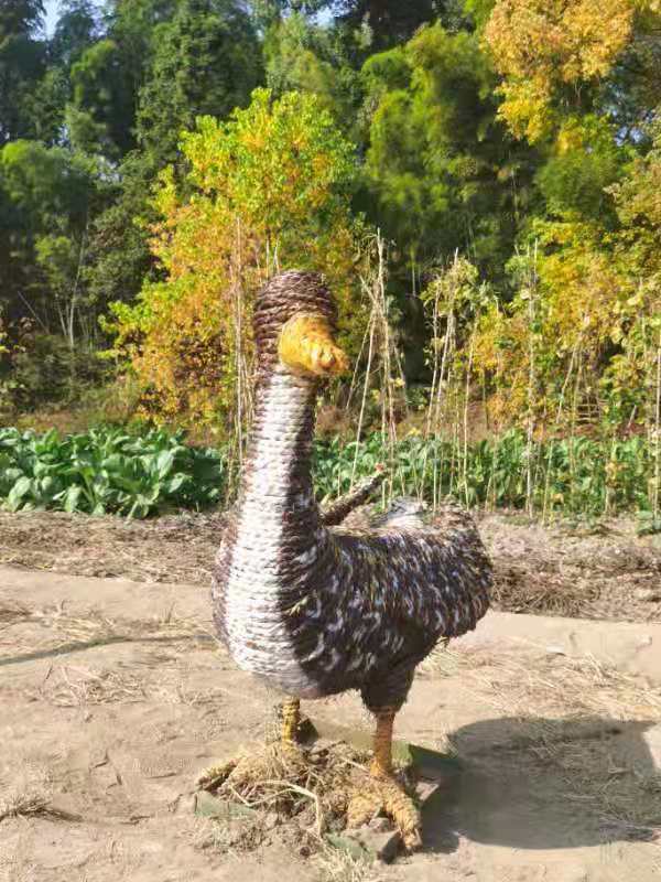 微信图片_201911181306527