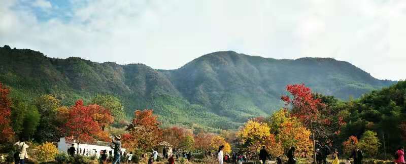 微信图片_201911181307571