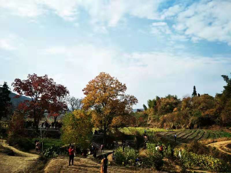 微信图片_201911181307572