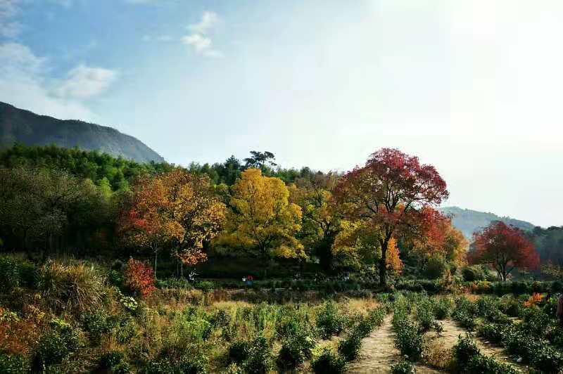 微信图片_201911181307574