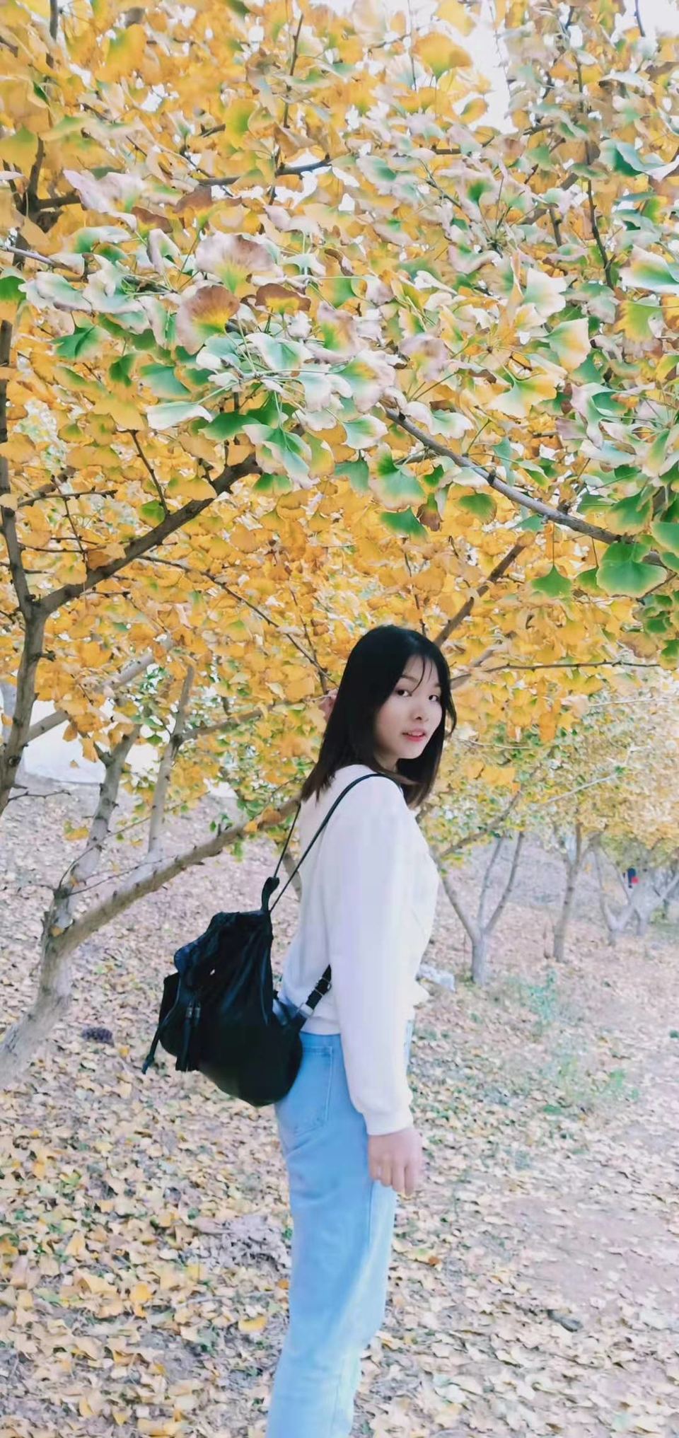 微信图片_20191118161653