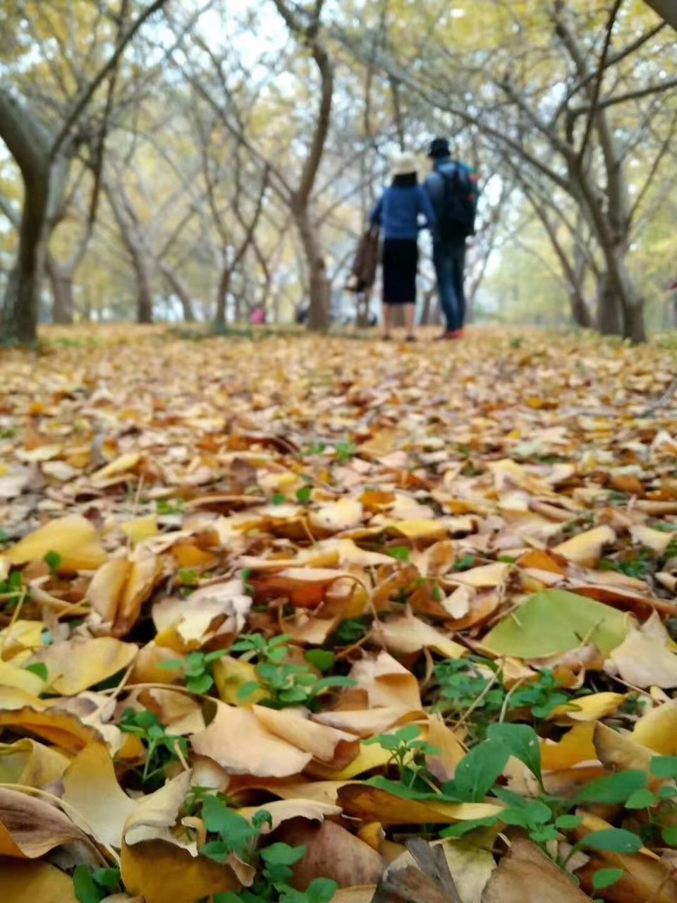 微信图片_20191118161727