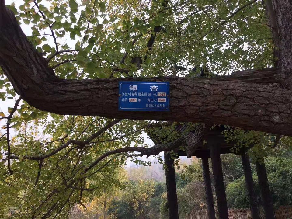 微信图片_20191118161807