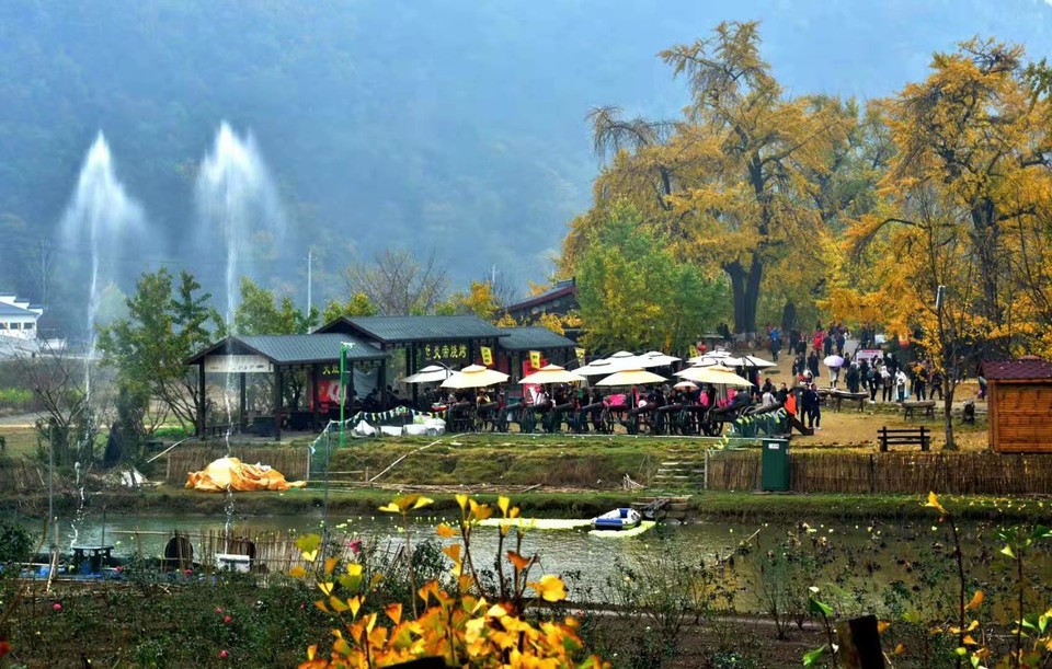 微信图片_20191118161850