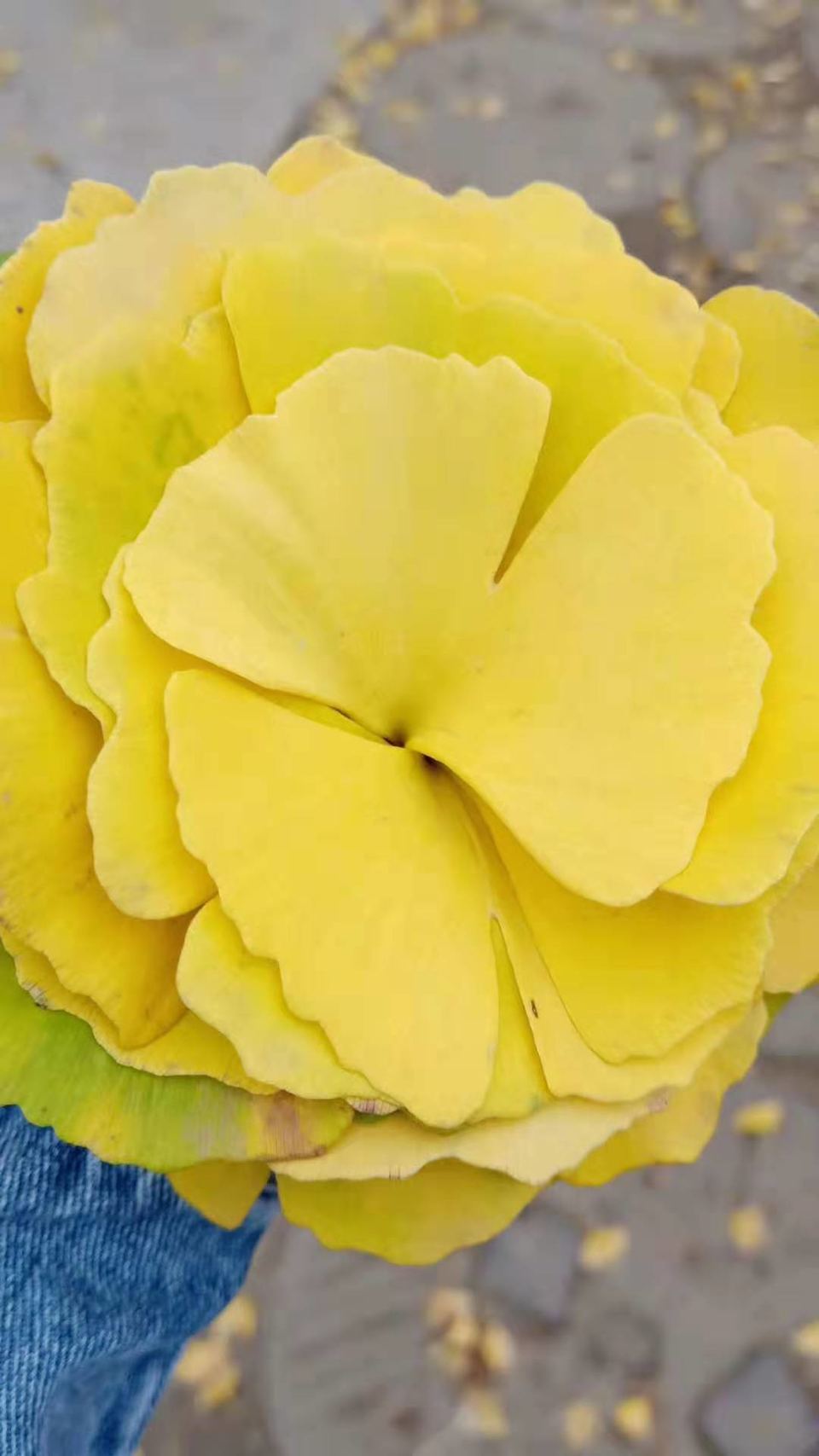 微信图片_20191118161937