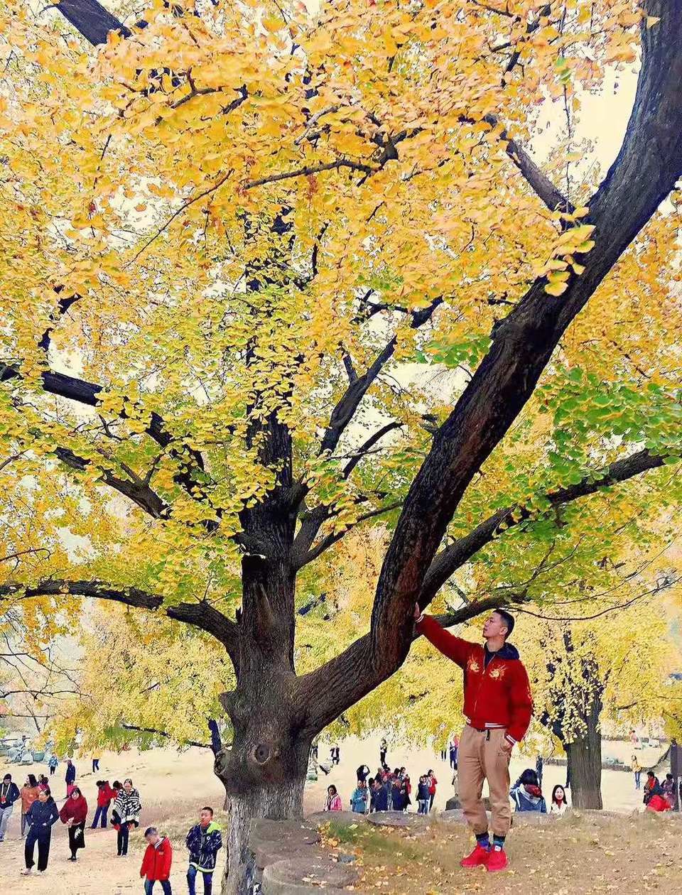 微信图片_201911181616532