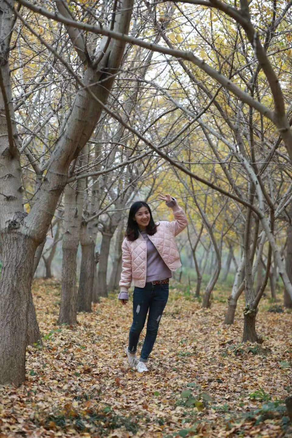 微信图片_201911181617271