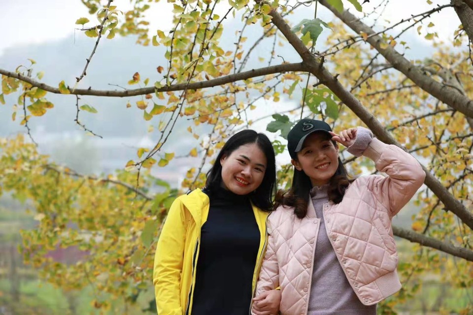 微信图片_201911181617273