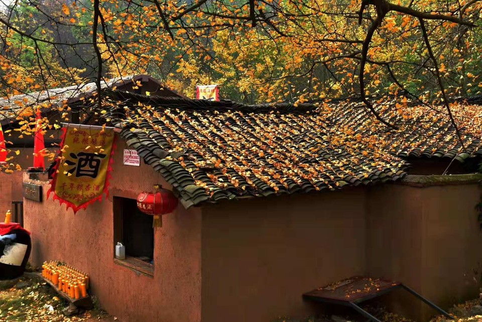 微信图片_201911181618071