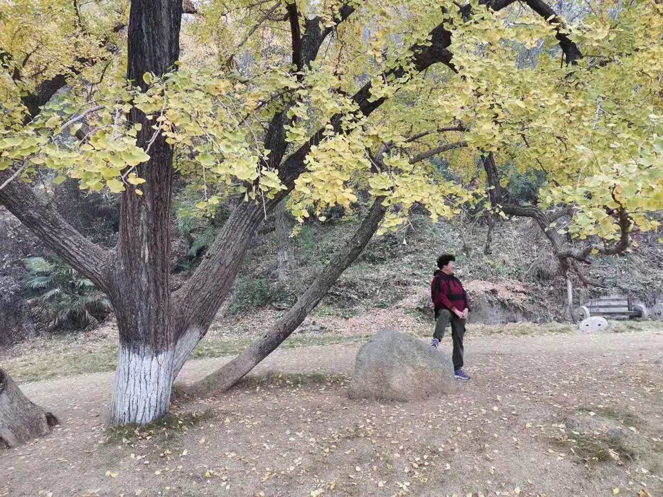 微信图片_201911181618072