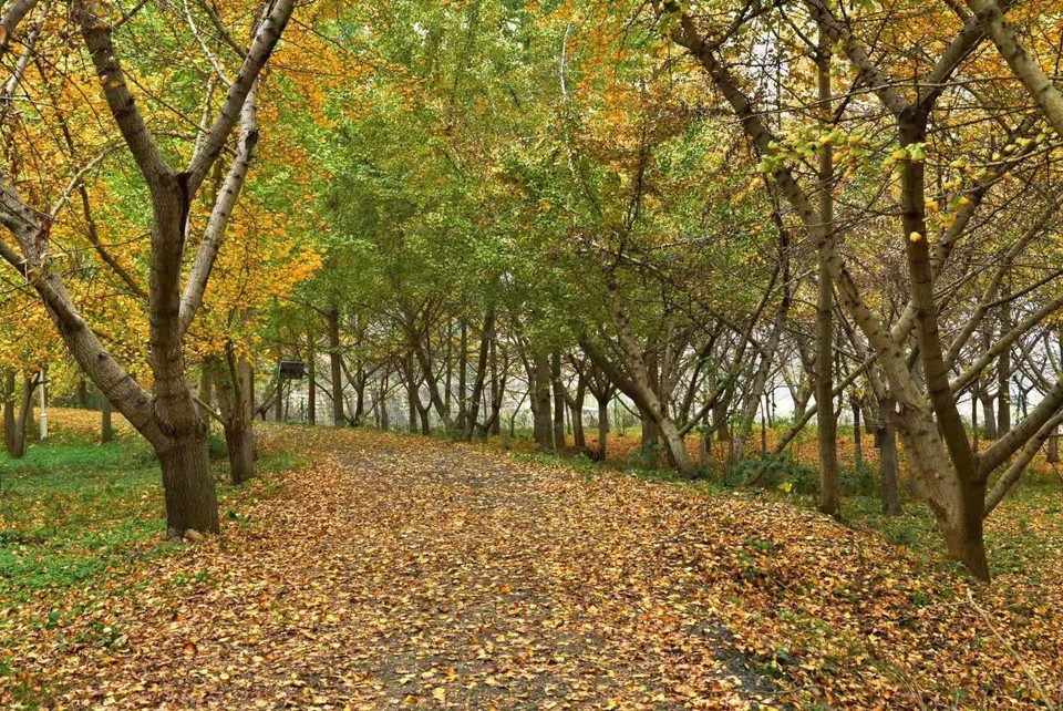 微信图片_201911181618074