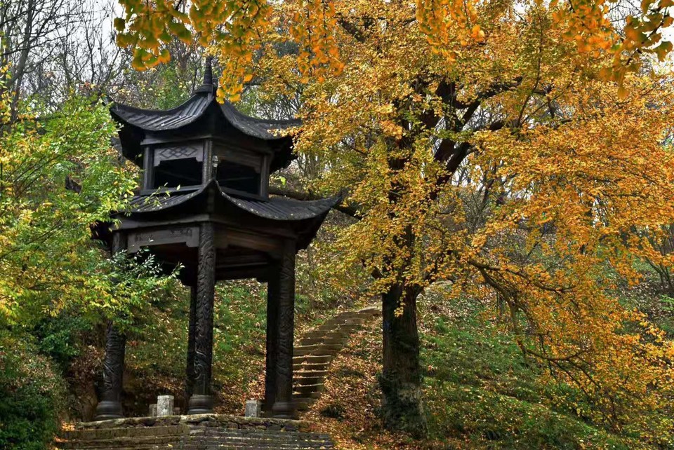 微信图片_201911181618077