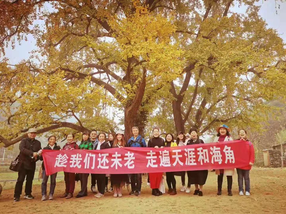 微信图片_201911181618501