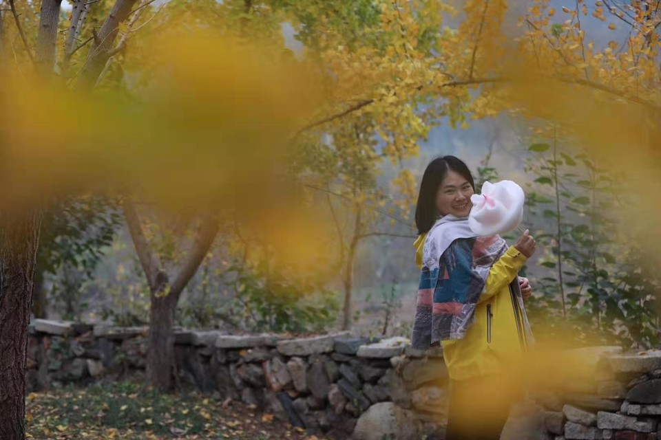 微信图片_201911181618507