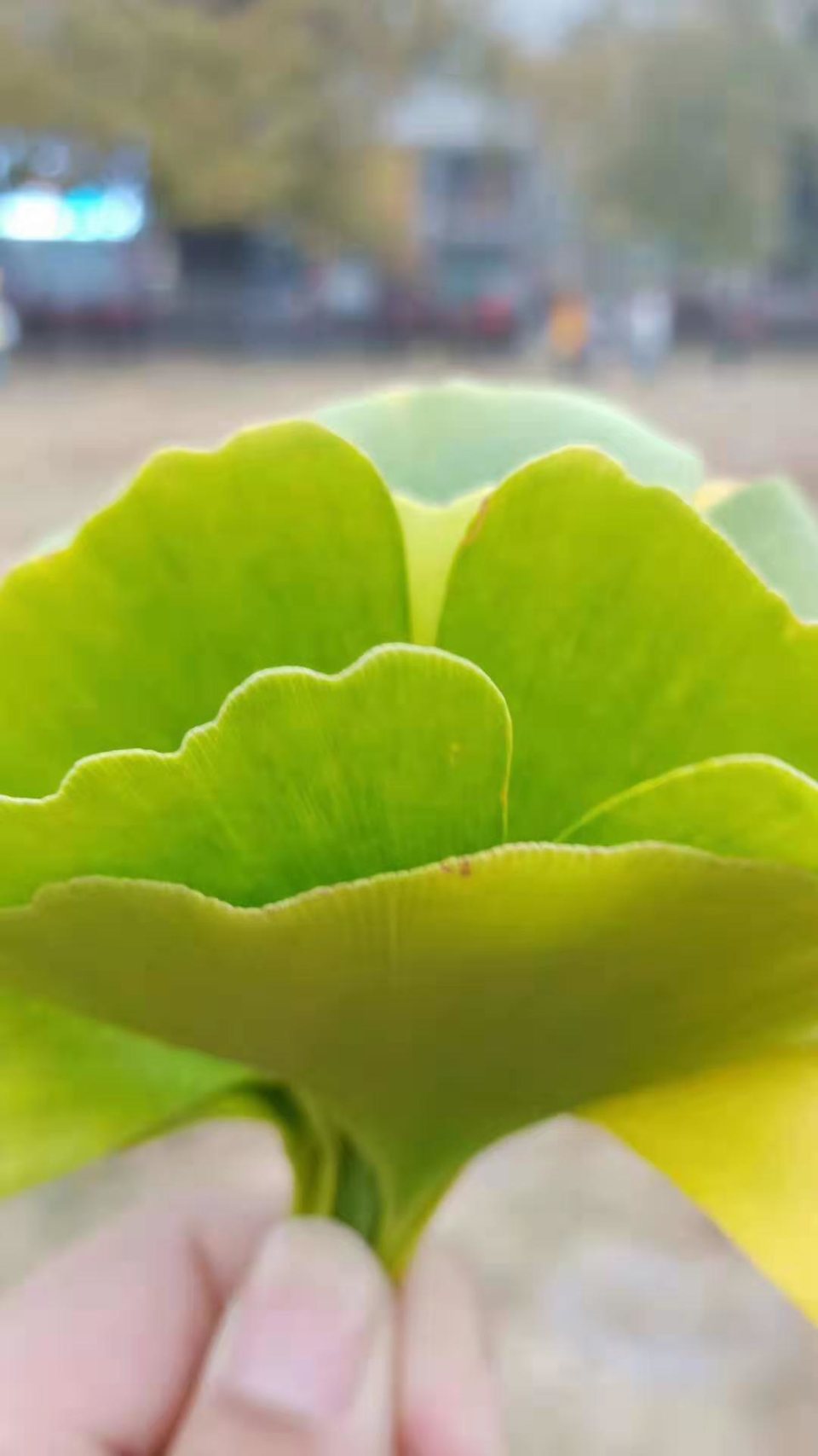 微信图片_201911181619372