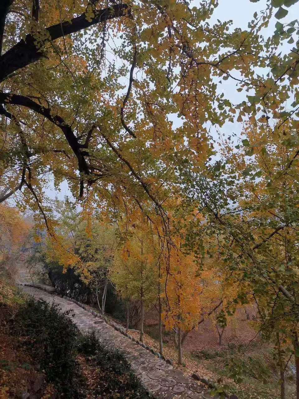 微信图片_201911181619373