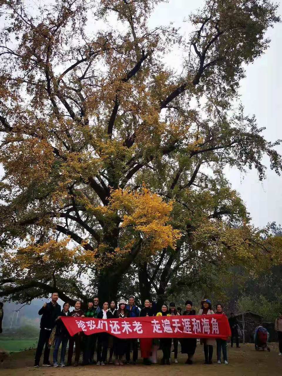 微信图片_201911181619381