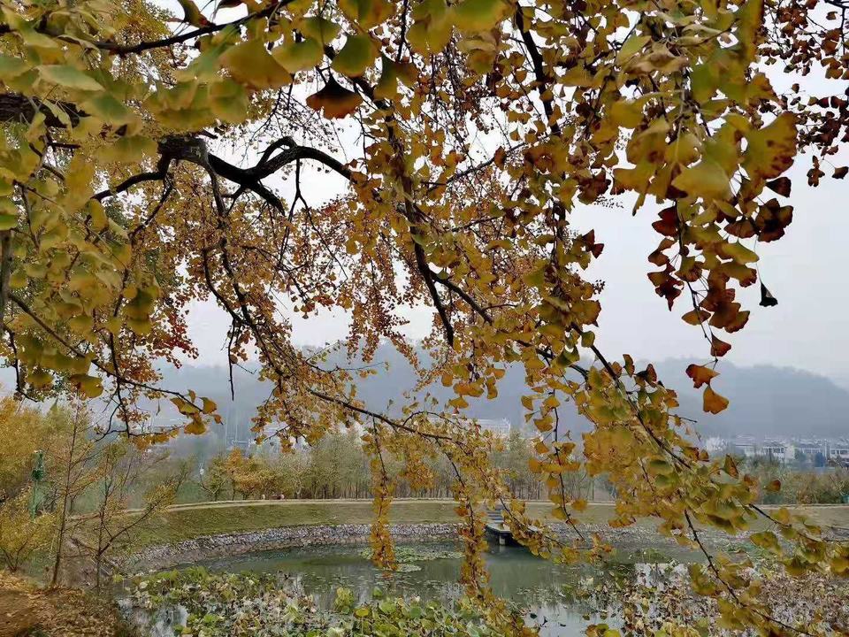 微信图片_201911181619382