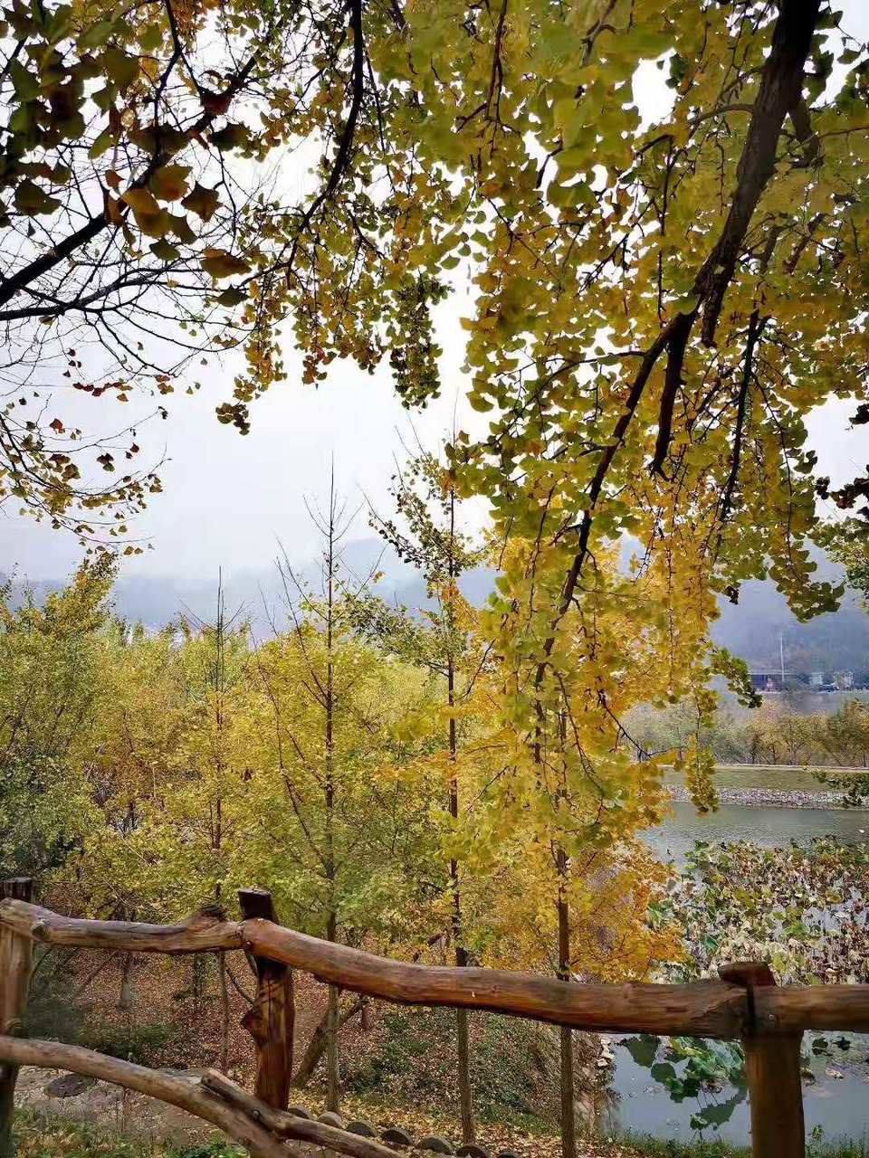 微信图片_201911181619383