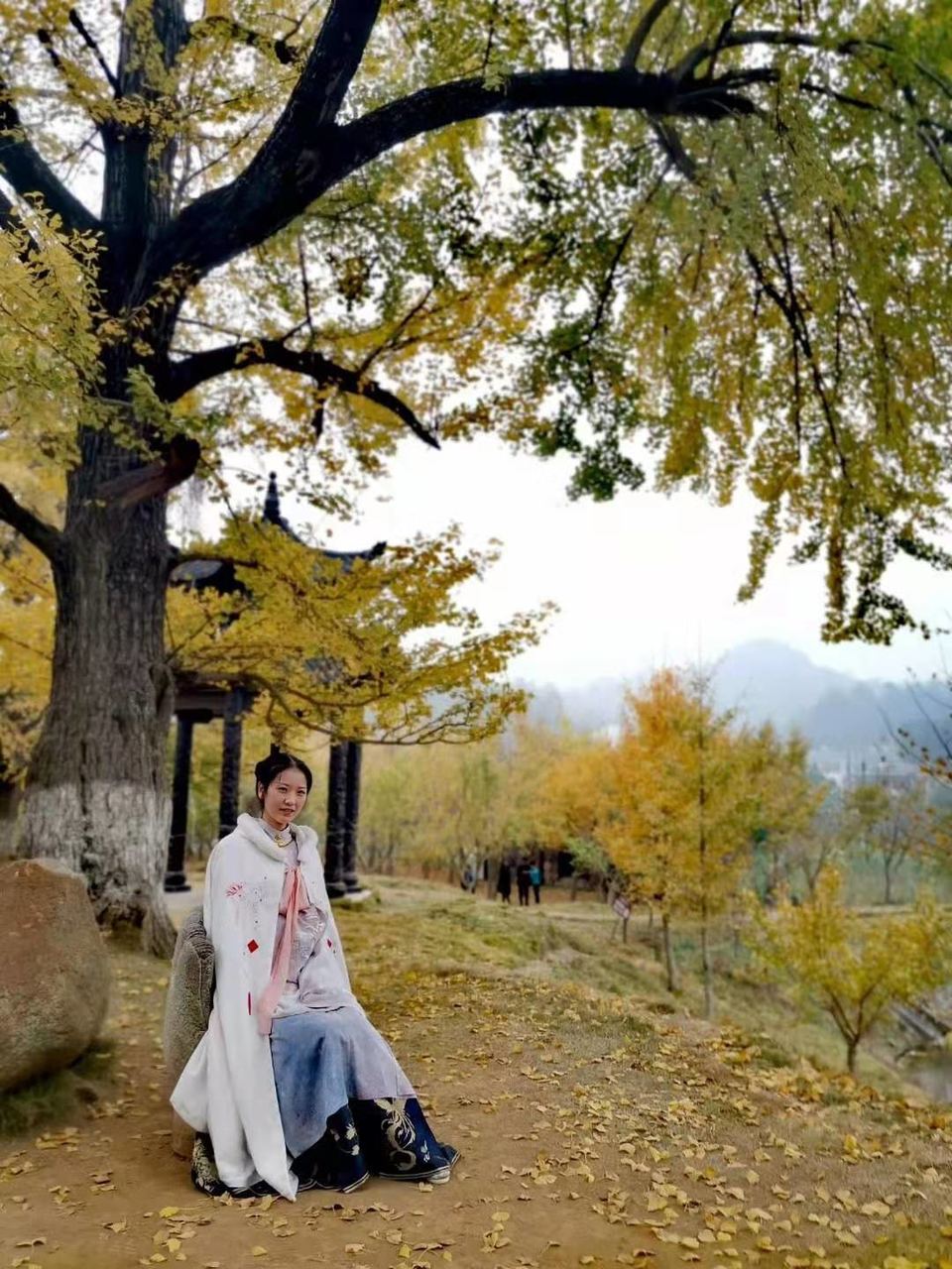 微信图片_201911181621284