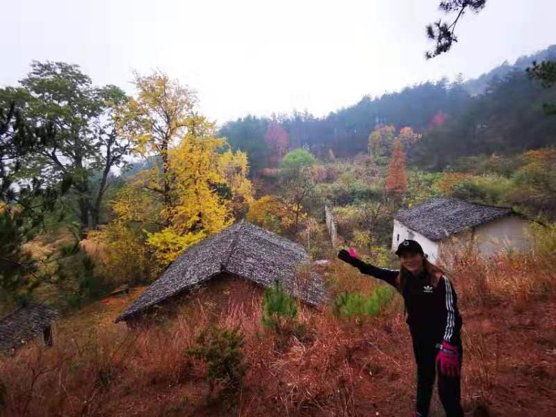 微信图片_20191125095719