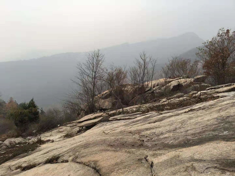 微信图片_20191125095817